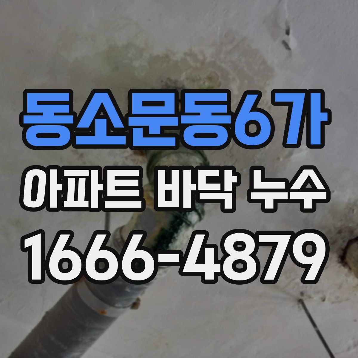 동소문동6가 아파트 바닥 누수