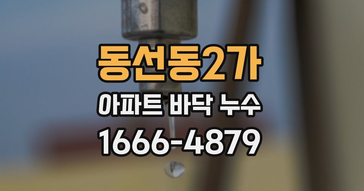 동선동2가 아파트 바닥 누수