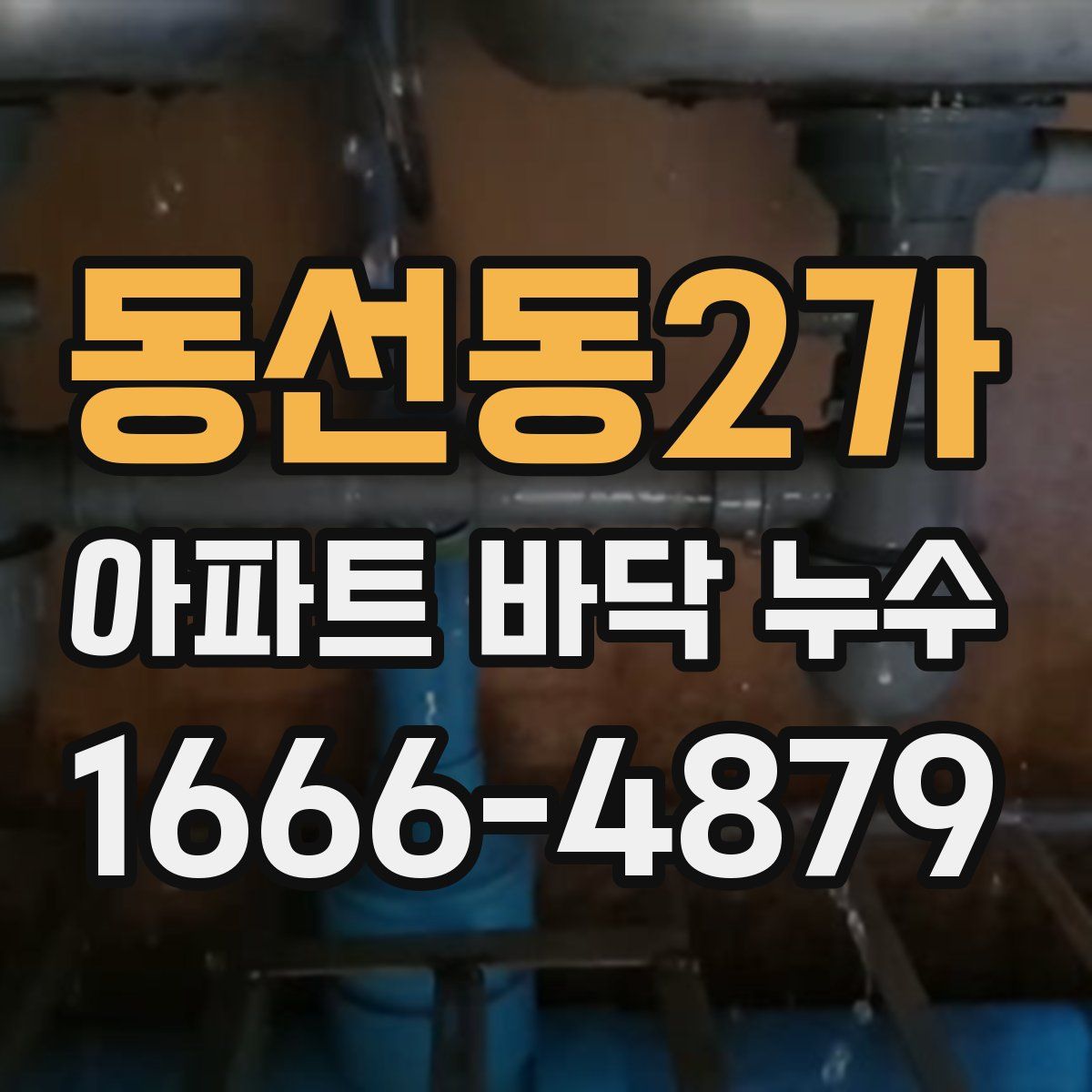 동선동2가 아파트 바닥 누수