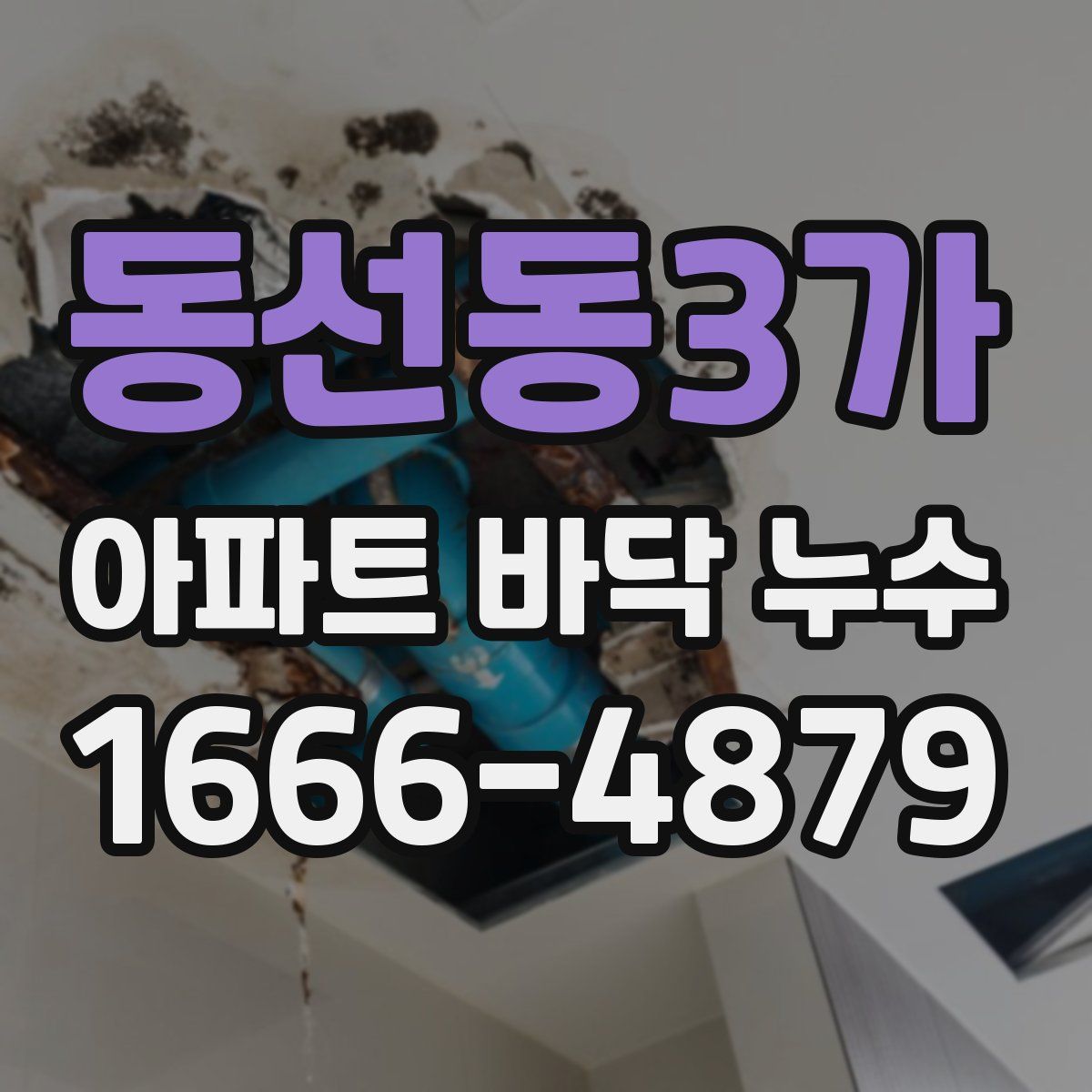 동선동3가 아파트 바닥 누수