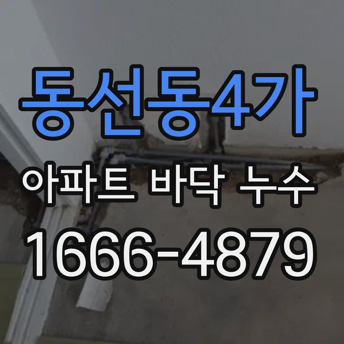 동선동4가 아파트 바닥 누수