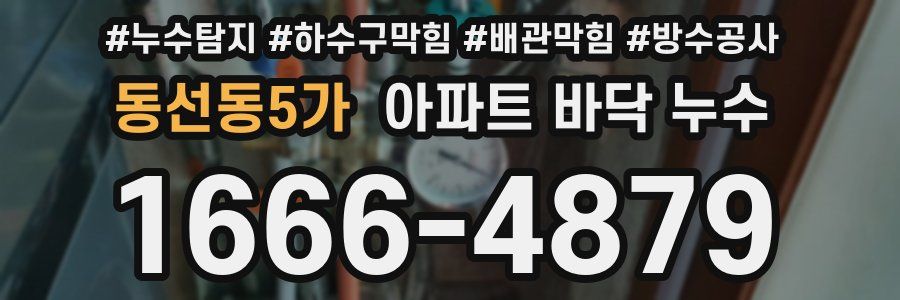 동선동5가 아파트 바닥 누수