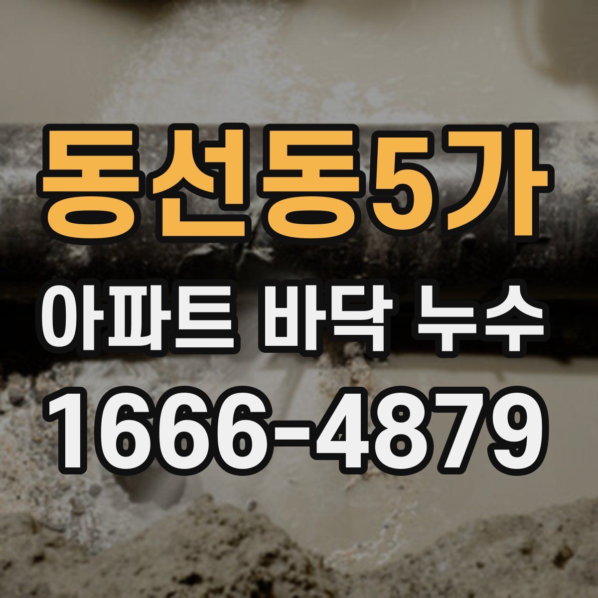 동선동5가 아파트 바닥 누수