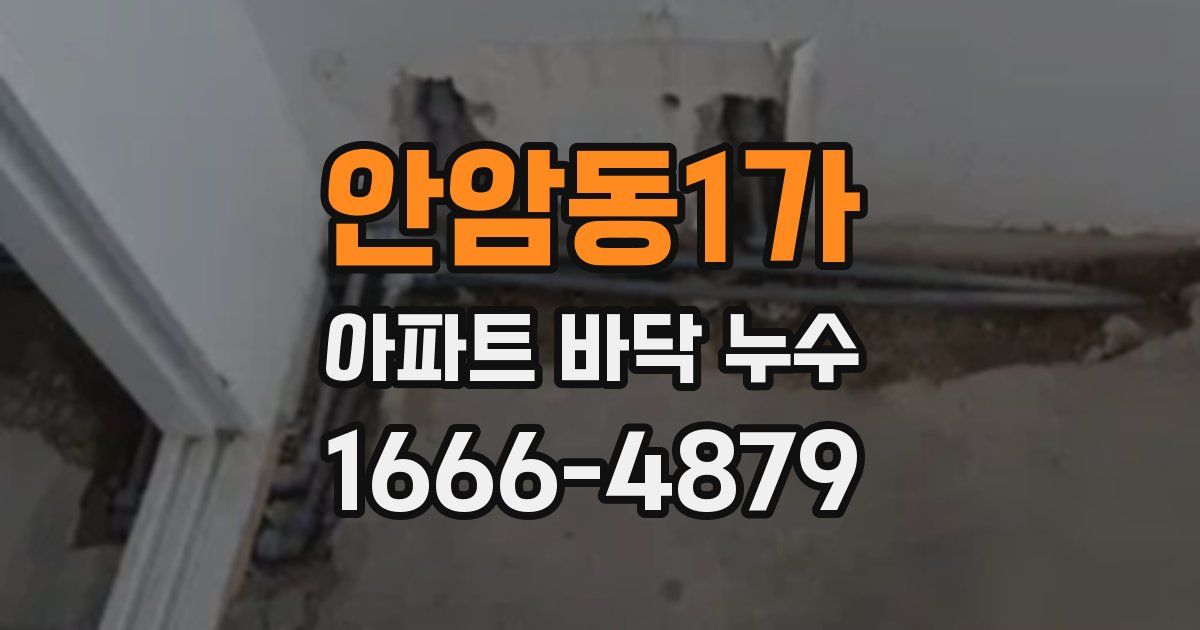 안암동1가 아파트 바닥 누수