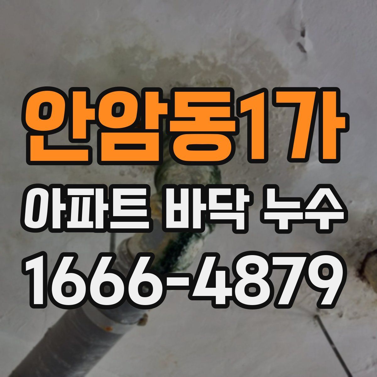 안암동1가 아파트 바닥 누수