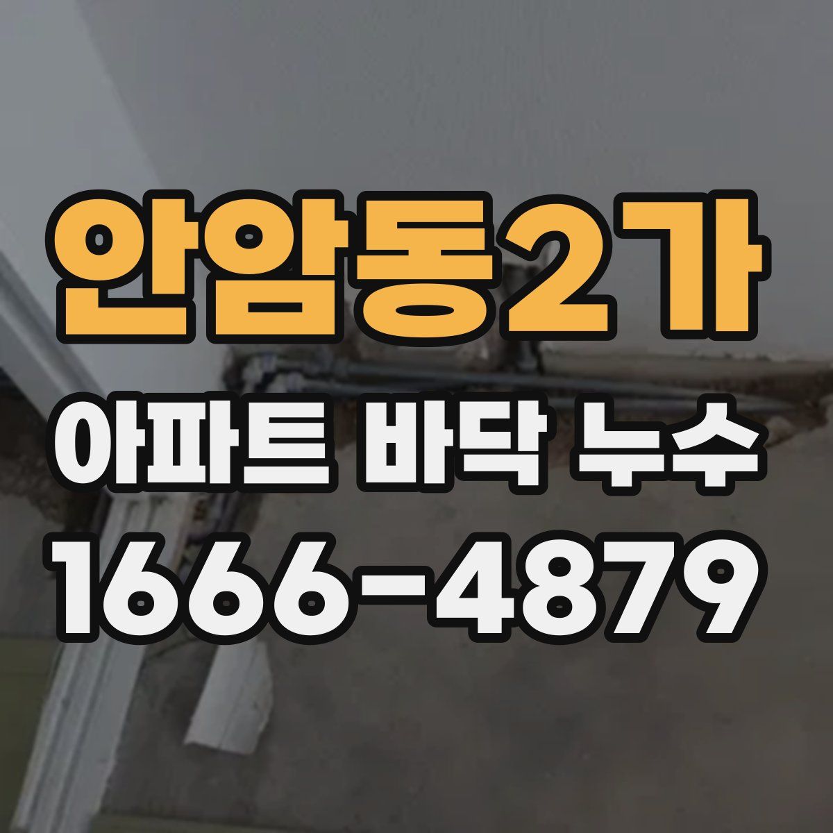 안암동2가 아파트 바닥 누수