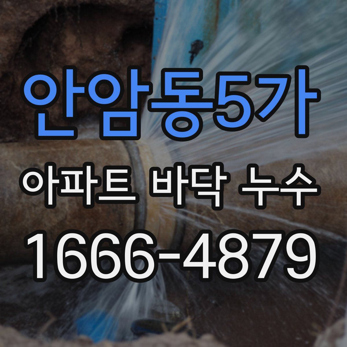 안암동5가 아파트 바닥 누수