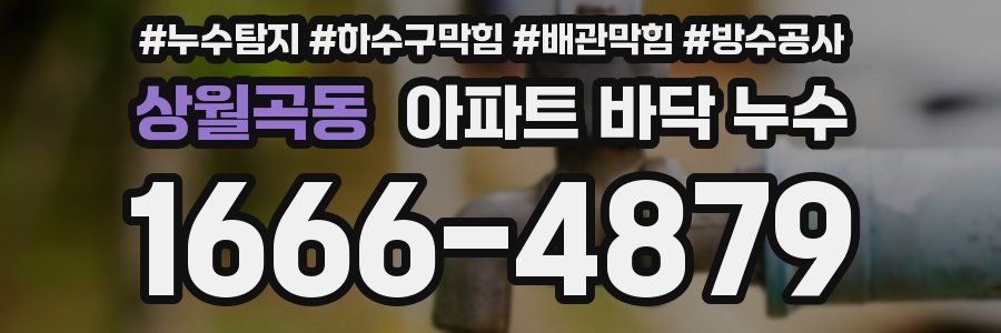 상월곡동 아파트 바닥 누수