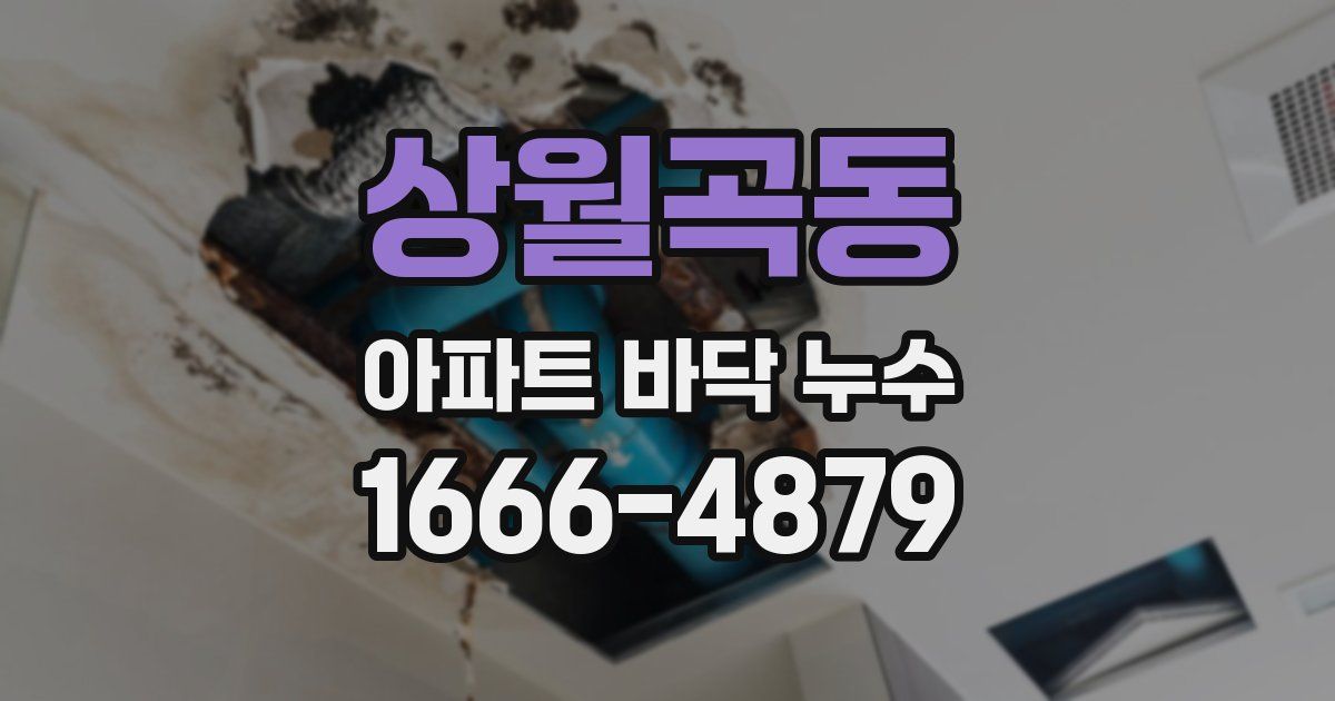 상월곡동 아파트 바닥 누수