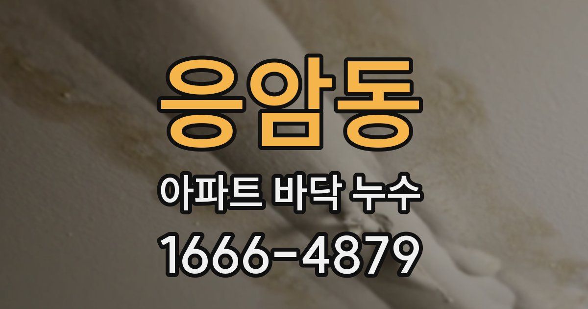 응암동 아파트 바닥 누수