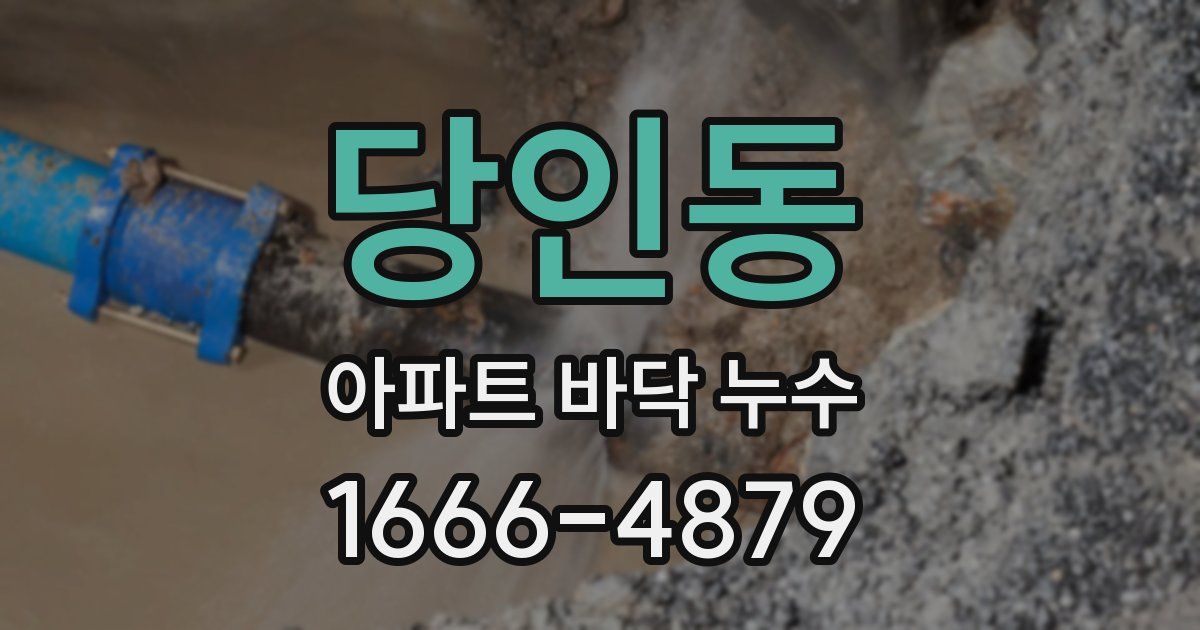 당인동 아파트 바닥 누수