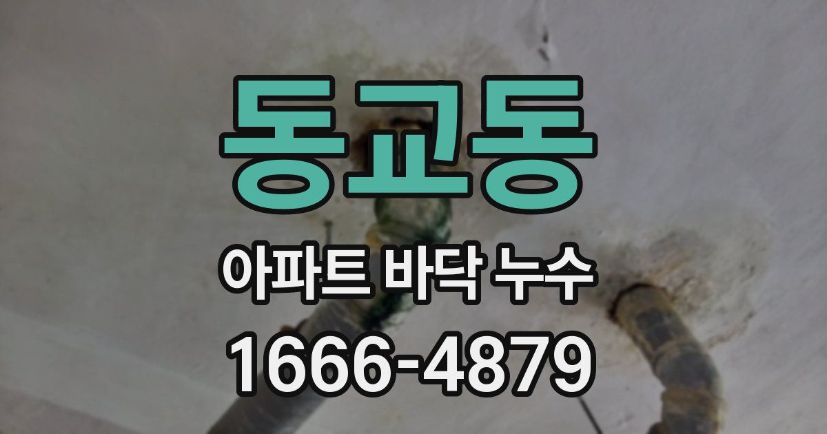 동교동 아파트 바닥 누수