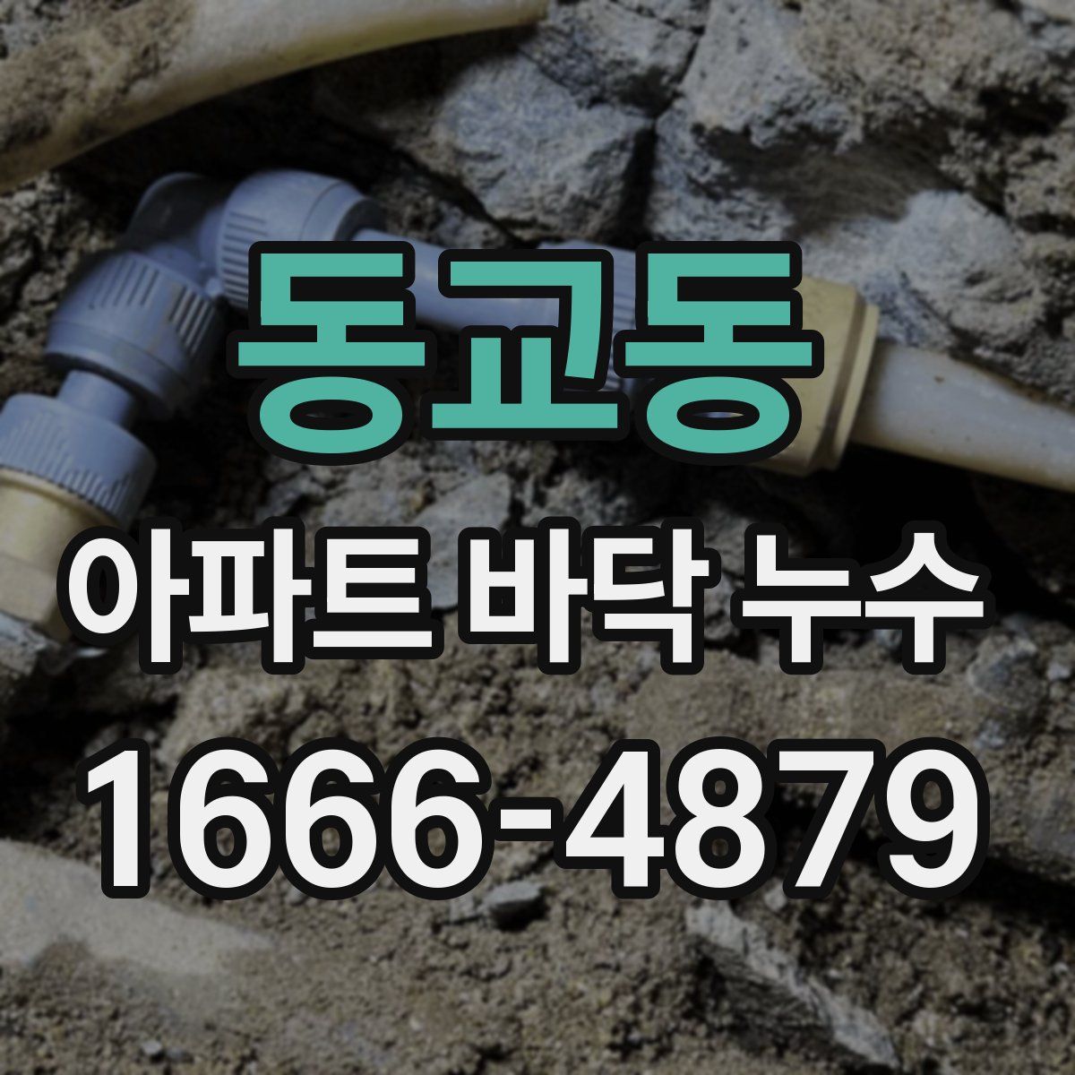 동교동 아파트 바닥 누수