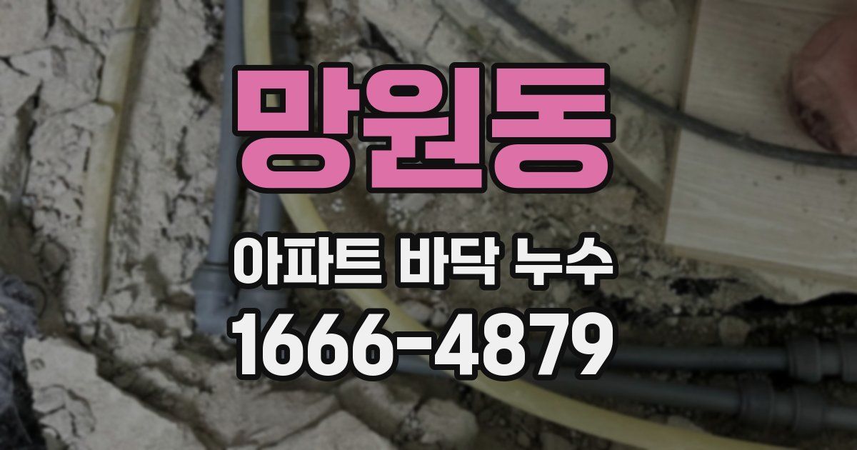 망원동 아파트 바닥 누수