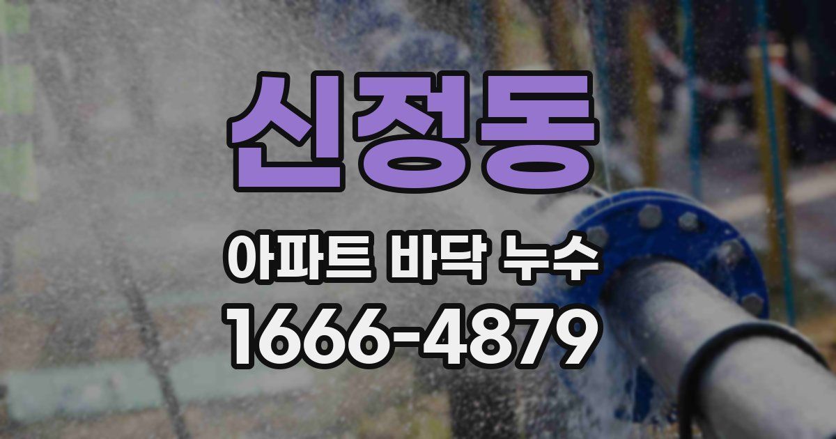 신정동 아파트 바닥 누수