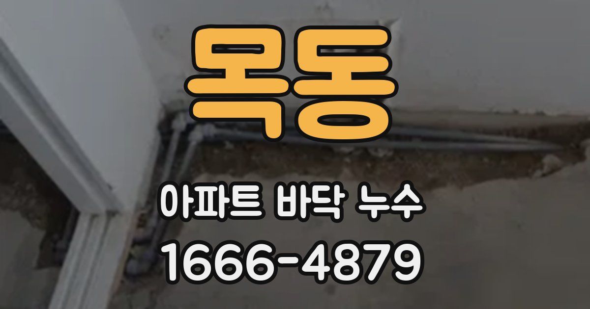 목동 아파트 바닥 누수