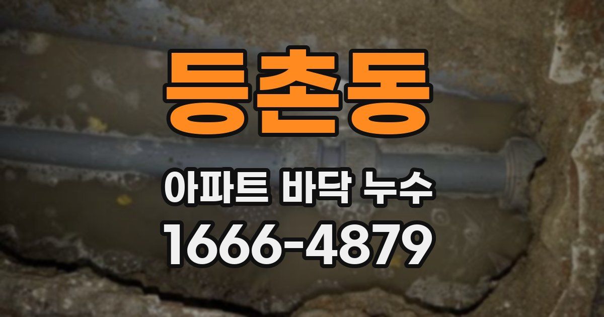 등촌동 아파트 바닥 누수