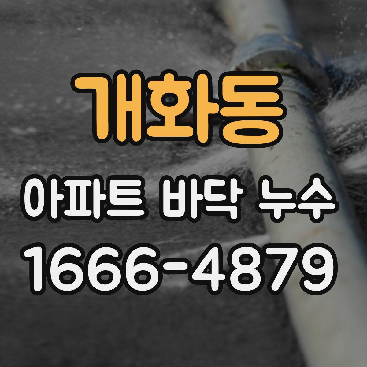 개화동 아파트 바닥 누수