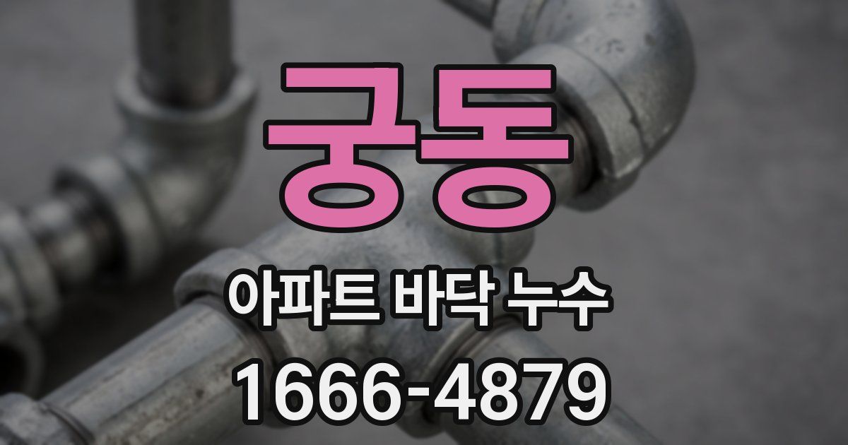 궁동 아파트 바닥 누수