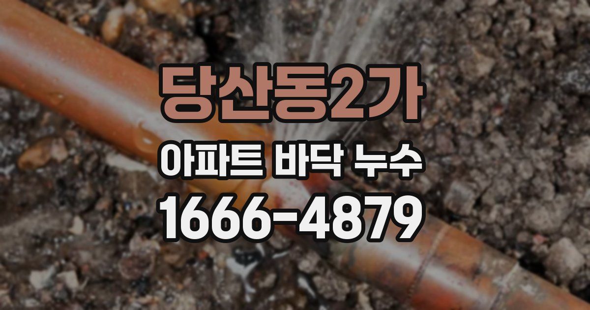 당산동2가 아파트 바닥 누수