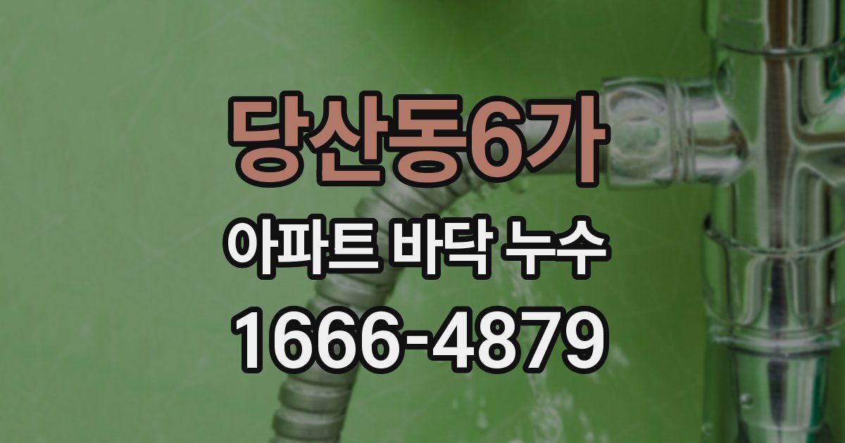 당산동6가 아파트 바닥 누수