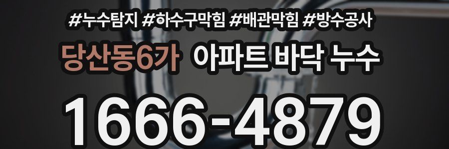 당산동6가 아파트 바닥 누수