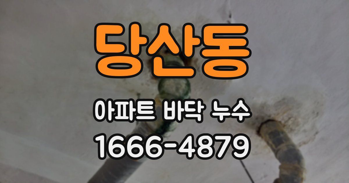 당산동 아파트 바닥 누수