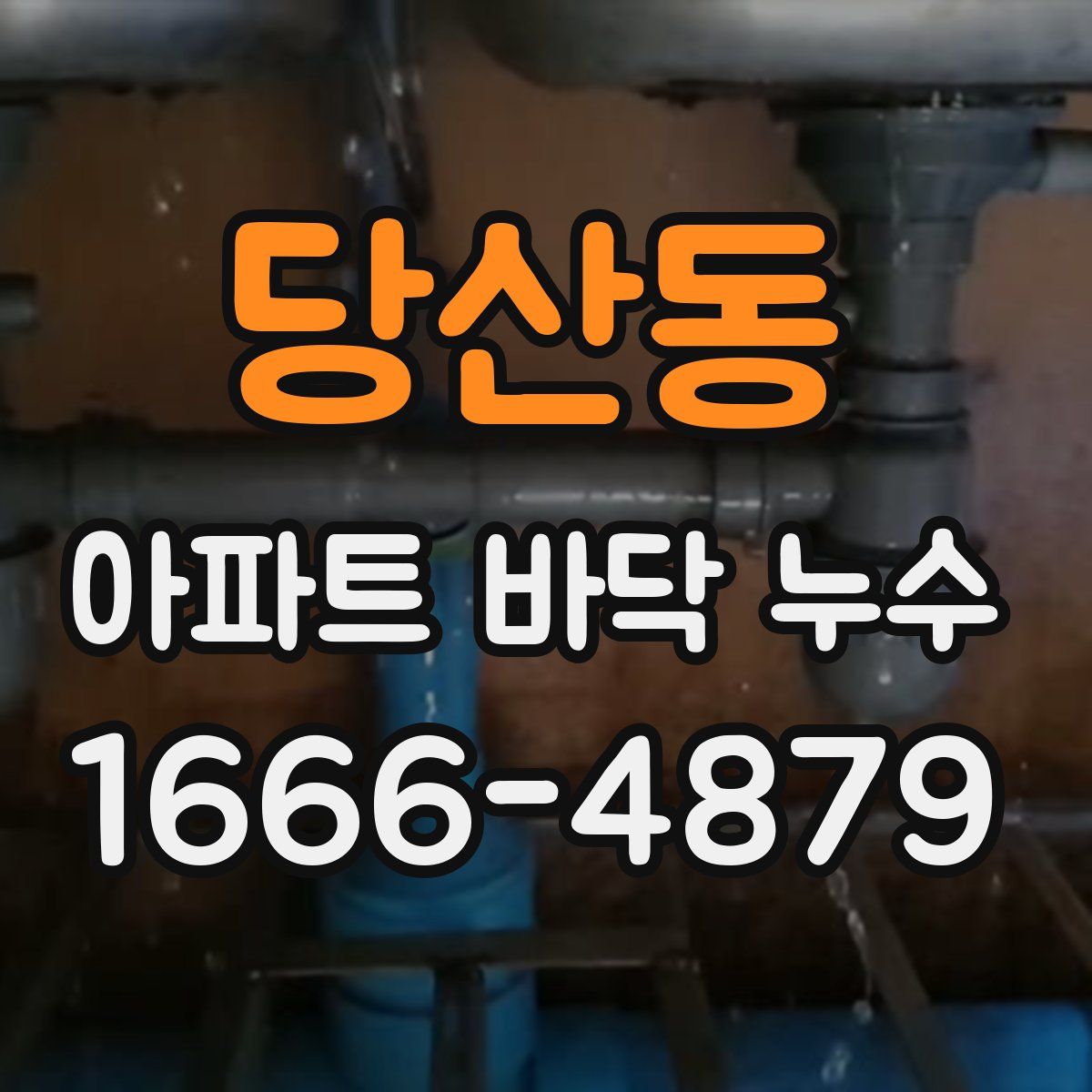당산동 아파트 바닥 누수