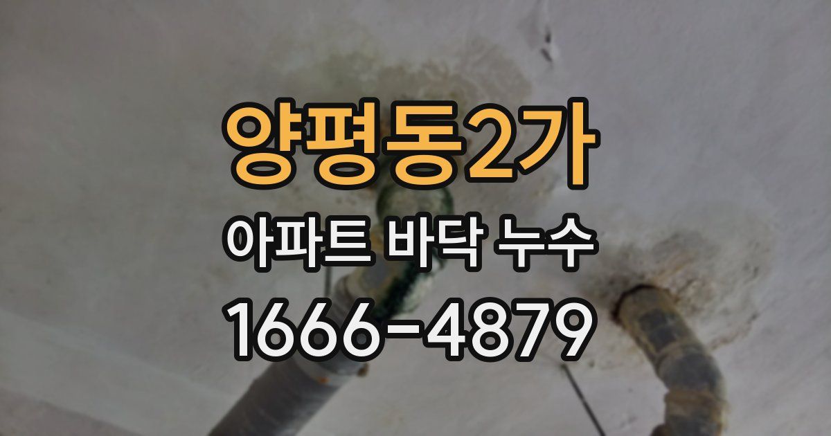 양평동2가 아파트 바닥 누수
