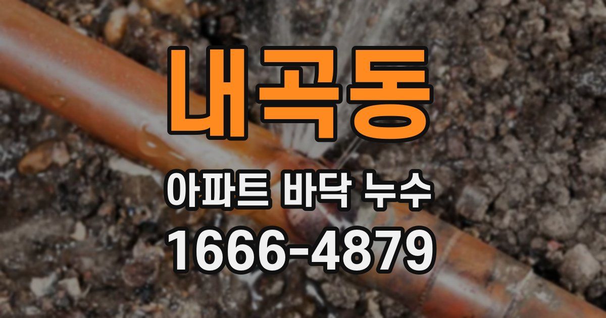 내곡동 아파트 바닥 누수