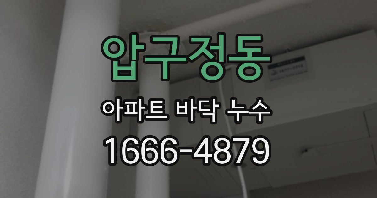 압구정동 아파트 바닥 누수