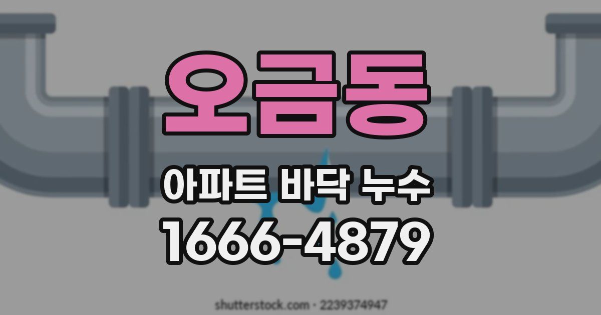 오금동 아파트 바닥 누수