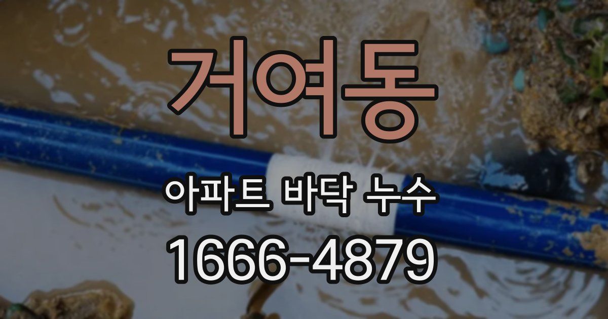 거여동 아파트 바닥 누수