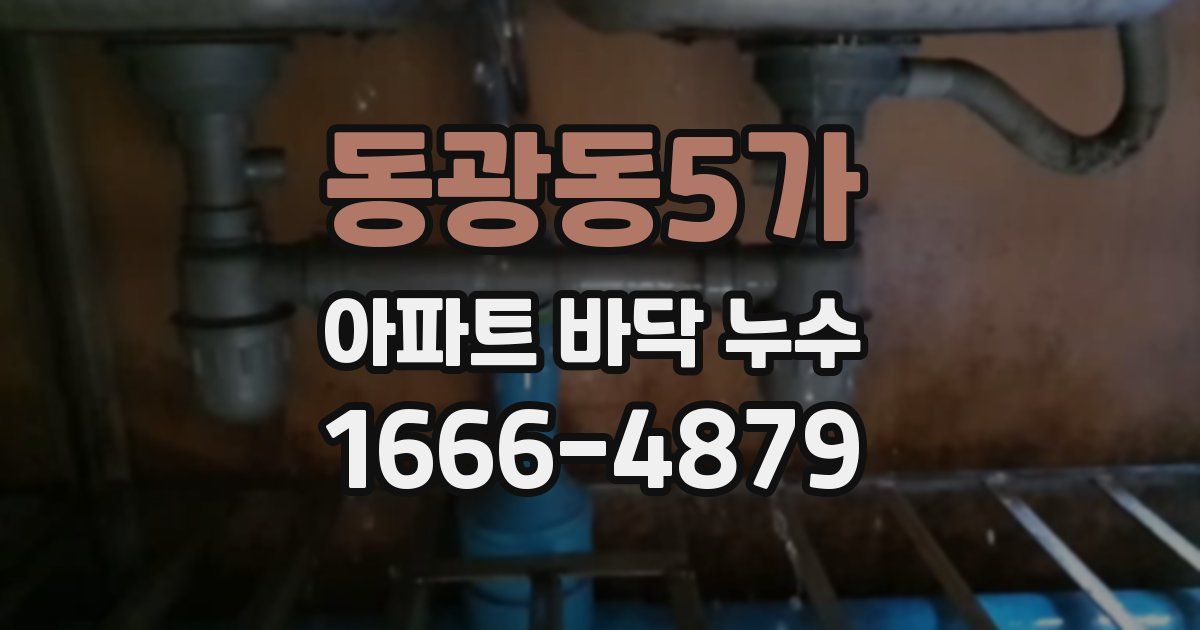 동광동5가 아파트 바닥 누수