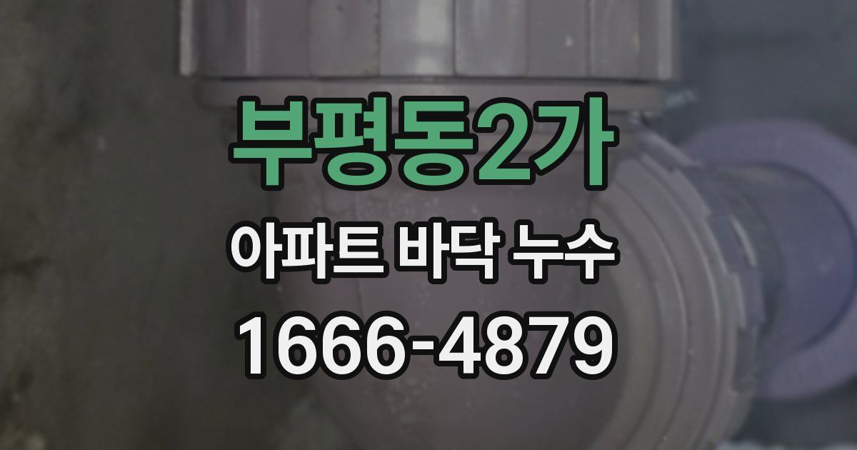 부평동2가 아파트 바닥 누수