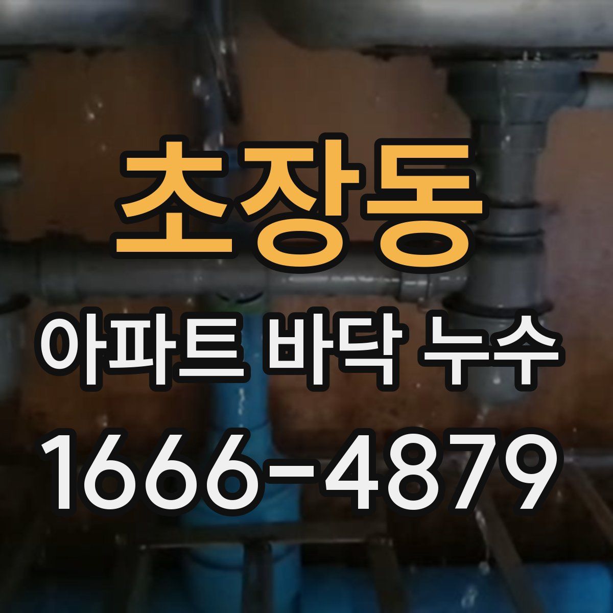초장동 아파트 바닥 누수