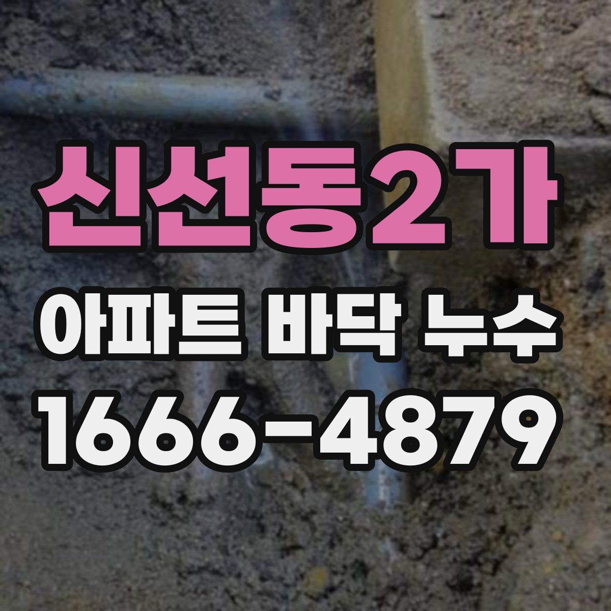 신선동2가 아파트 바닥 누수