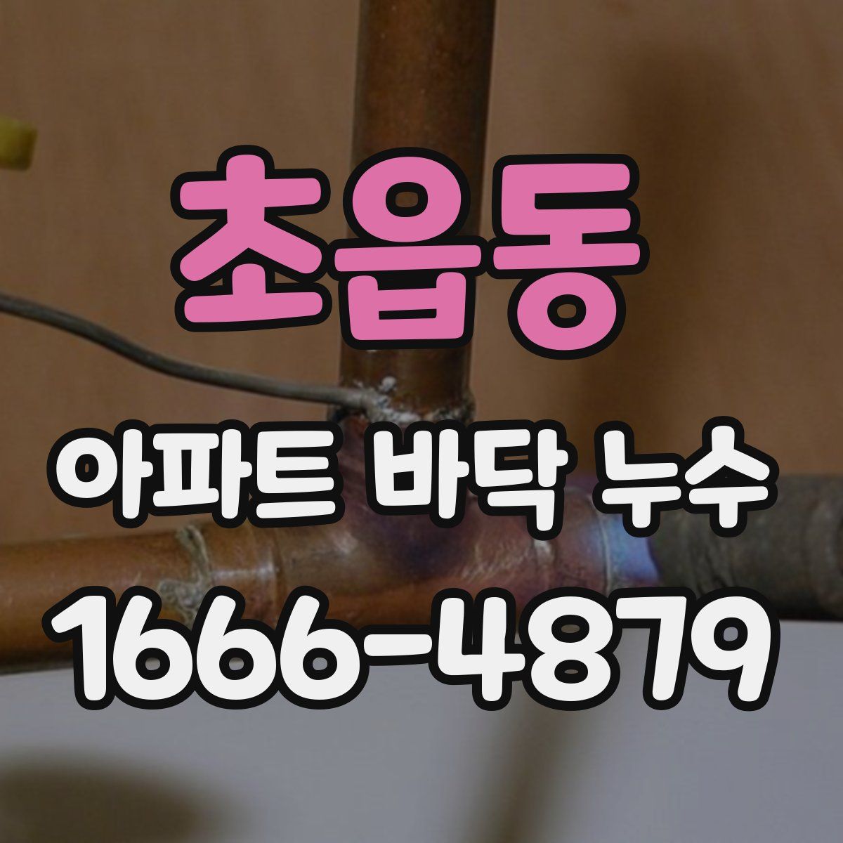 초읍동 아파트 바닥 누수