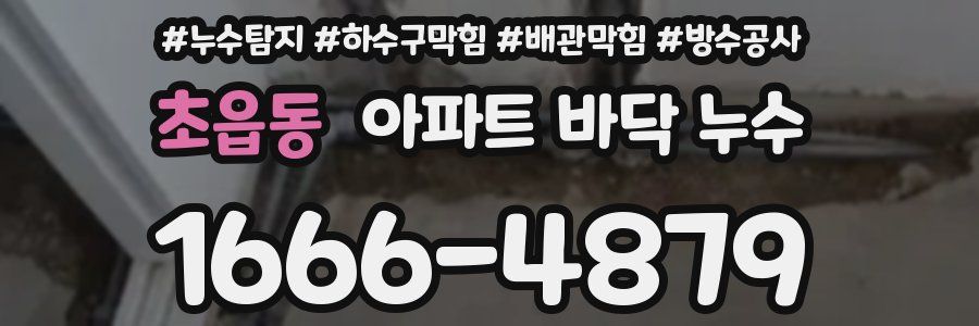 초읍동 아파트 바닥 누수