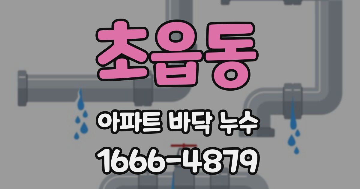 초읍동 아파트 바닥 누수