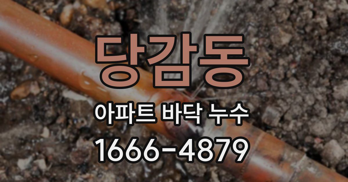 당감동 아파트 바닥 누수
