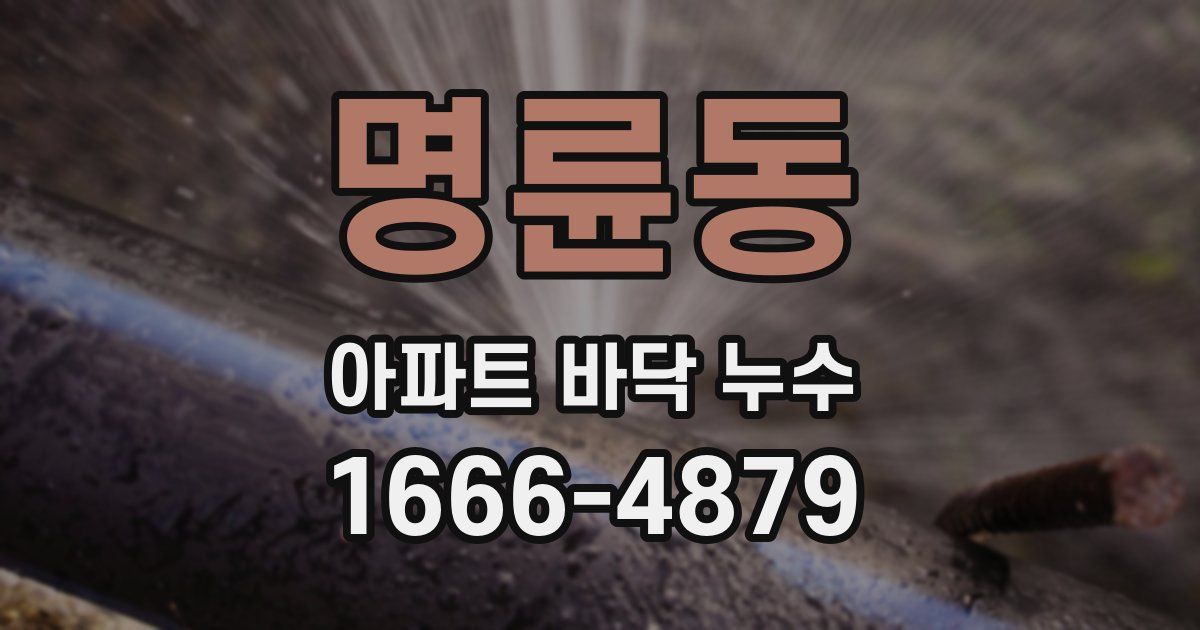 명륜동 아파트 바닥 누수