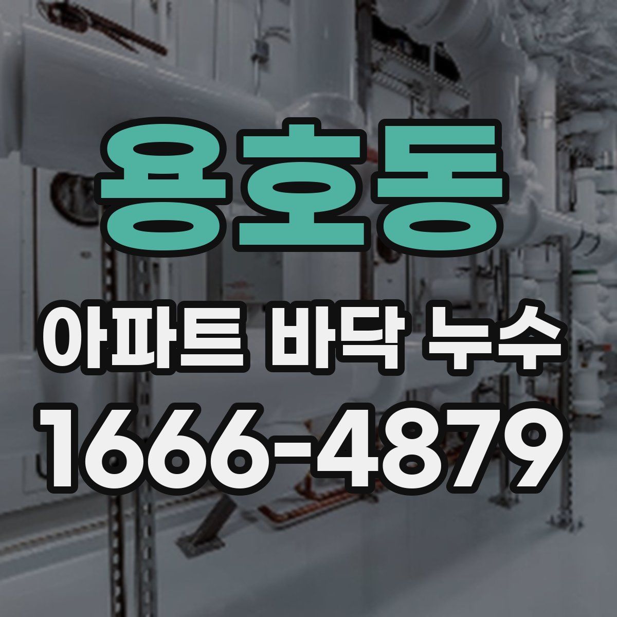 용호동 아파트 바닥 누수