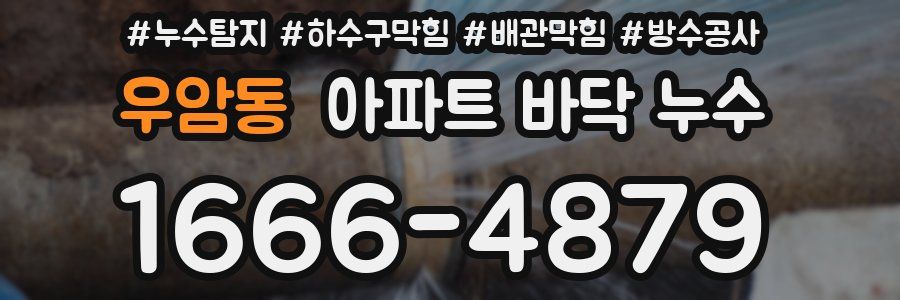 우암동 아파트 바닥 누수