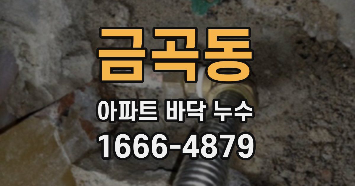 금곡동 아파트 바닥 누수