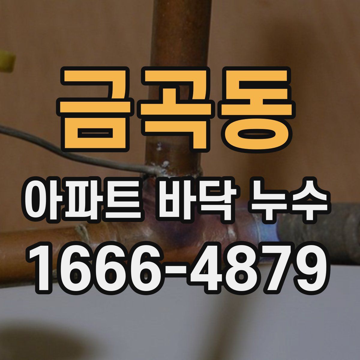 금곡동 아파트 바닥 누수