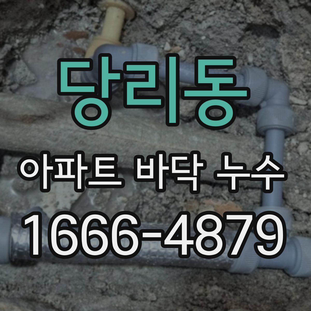당리동 아파트 바닥 누수