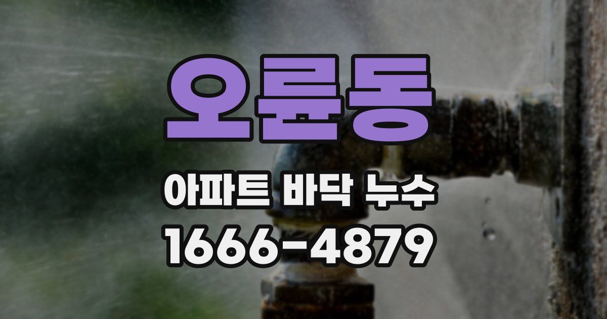 오륜동 아파트 바닥 누수