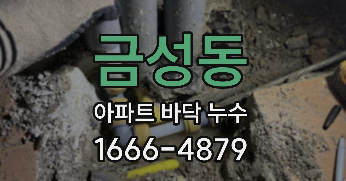 금성동 아파트 바닥 누수