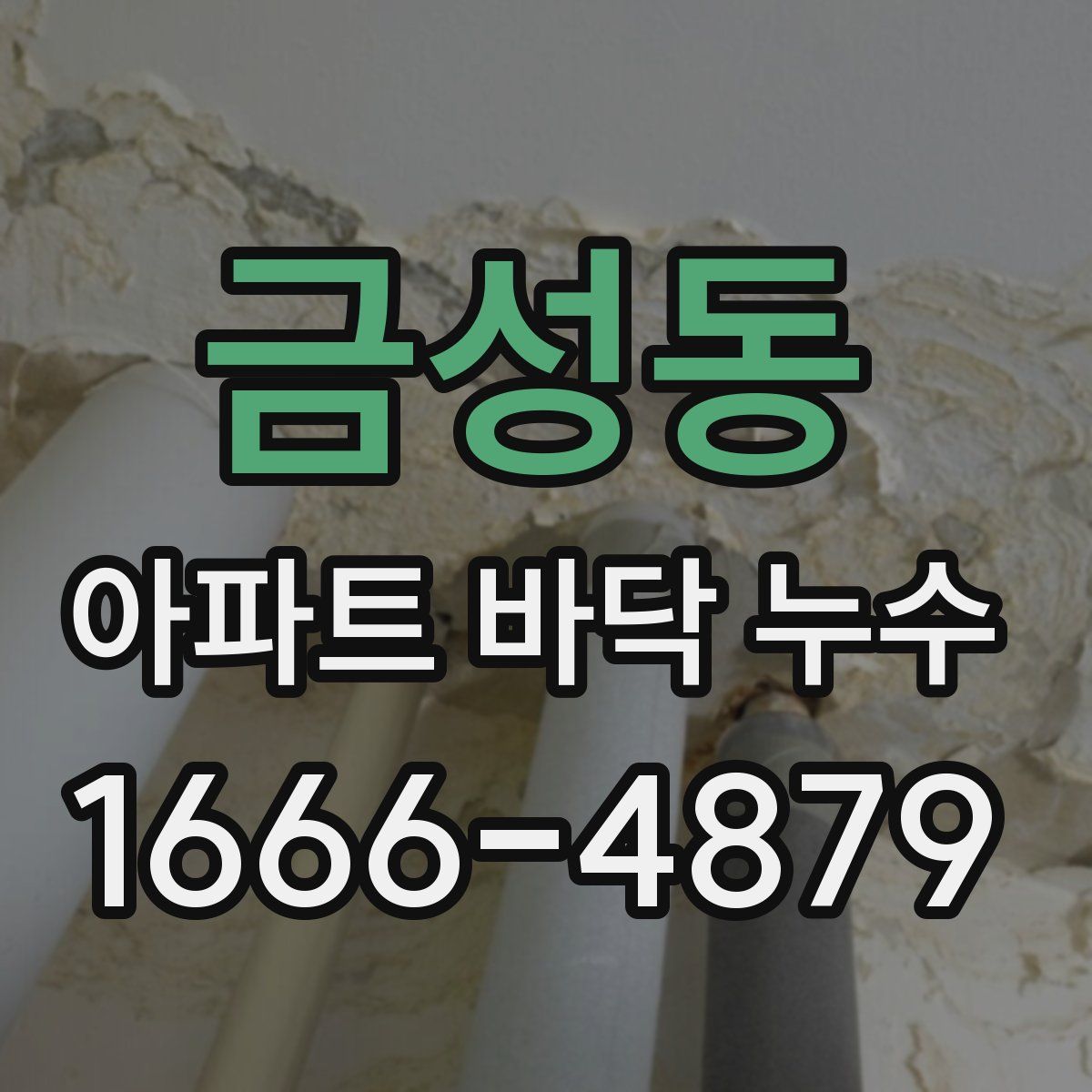 금성동 아파트 바닥 누수